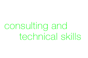 Sexton consulting and technical skills