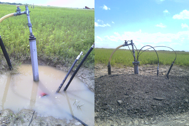 Before and After Leachate