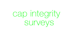 Sexton cap integrity surveys